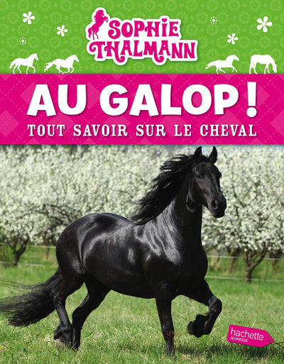 Sophie Thalmann / Au galop (refonte)