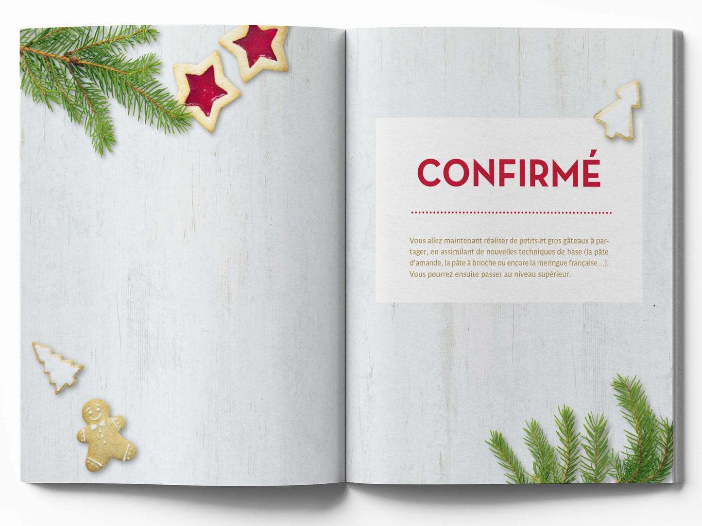 Gâteaux et biscuits de Noël: Du sablé à la bûche, toutes les techniques en pas à pas pour se régaler
