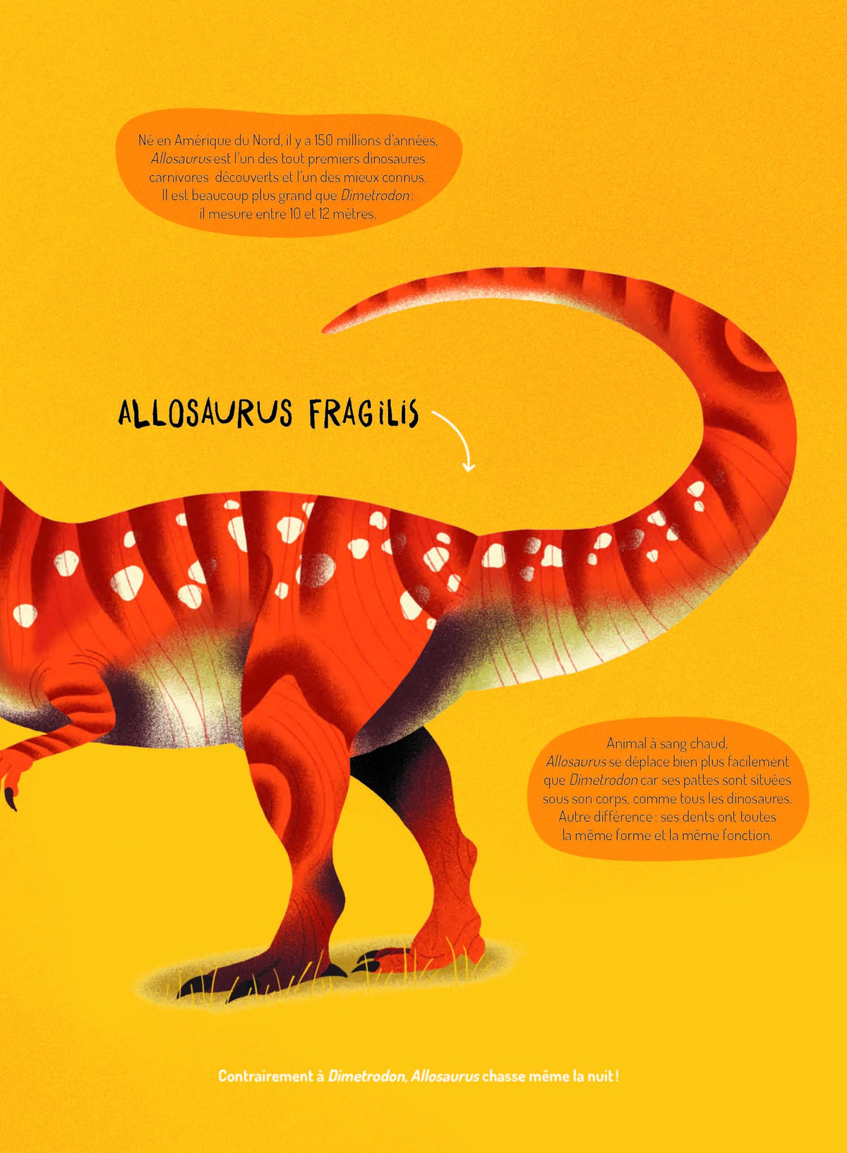Dinosaures. 15 face-à-face incroyables !