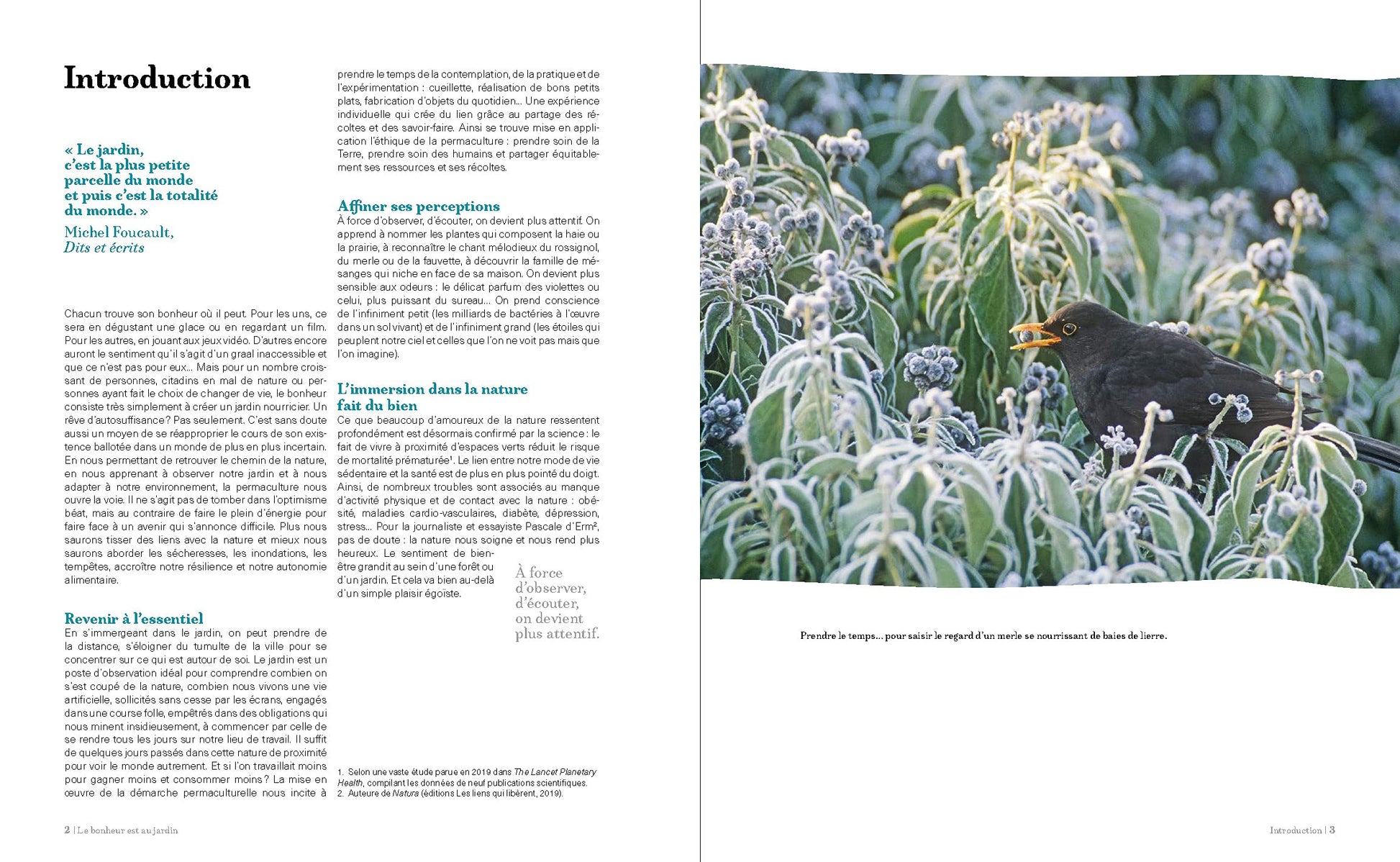 Le bonheur est au jardin: Permaculture, le plus court chemin vers la nature