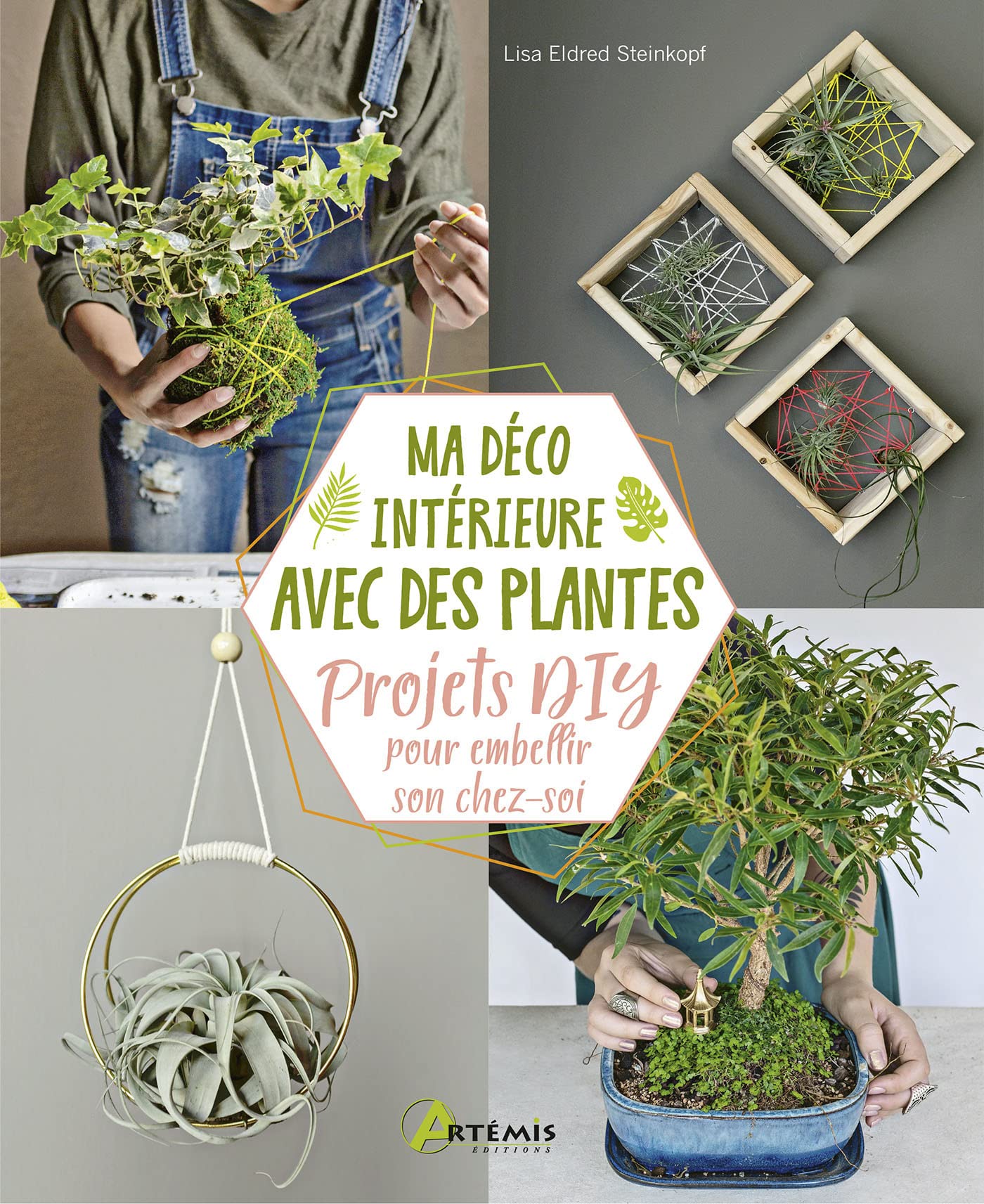 Ma déco intérieure avec des plantes: Projets DIY pour embellir son chez-soi