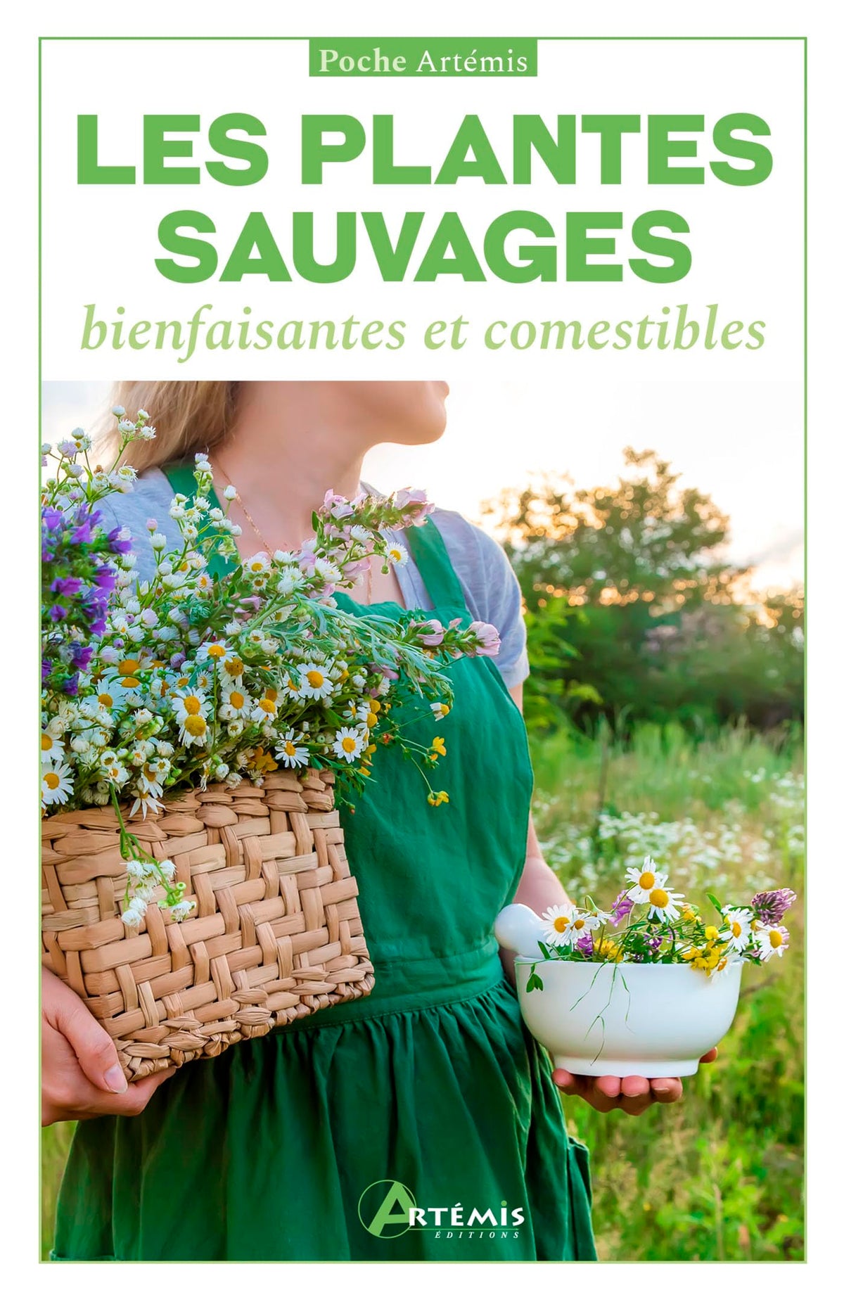Les plantes sauvages: bienfaisantes et comestibles