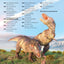 L’incroyable imagerie dinosaures