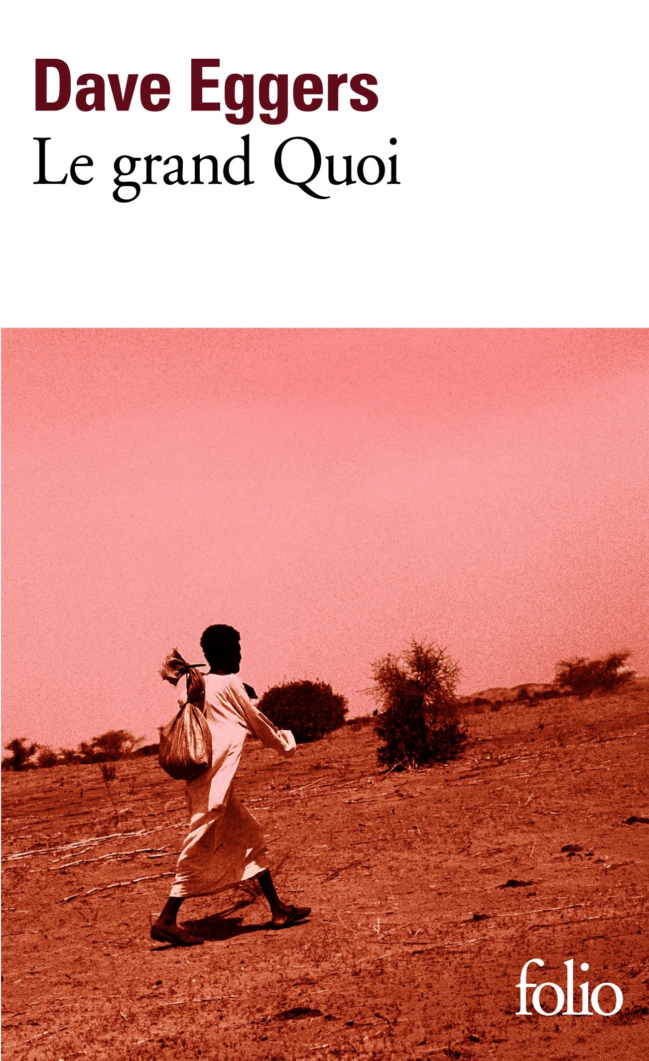 Le grand Quoi: Autobiographie de Valentino Achak Deng