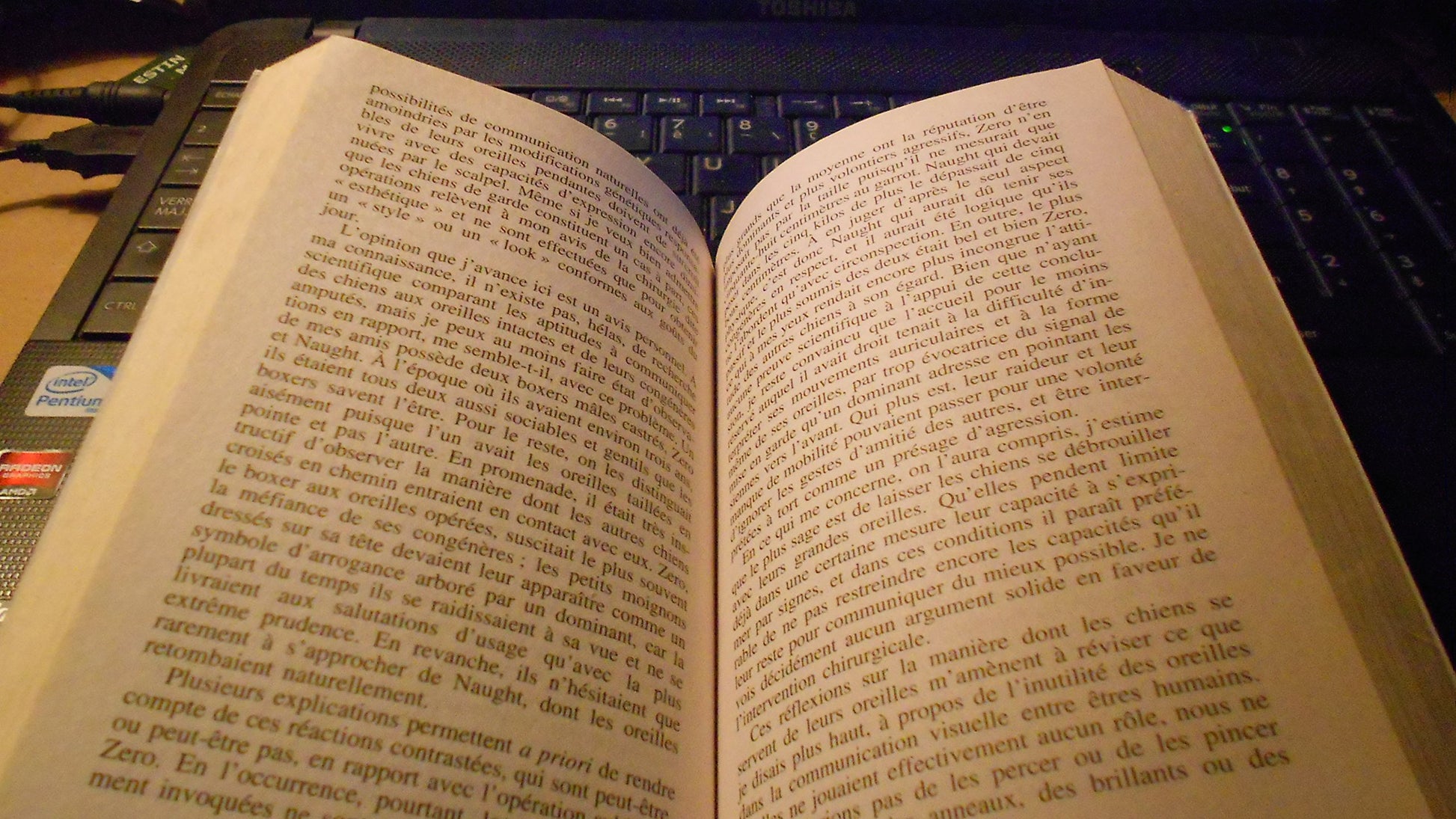 Comment parler chien