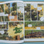 Thomas noland t04 les naufrages de la jungle c