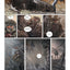 Aquarica tome 1: Roodhaven