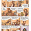 Le Petit Spirou, tome 7 : Demande à ton père !