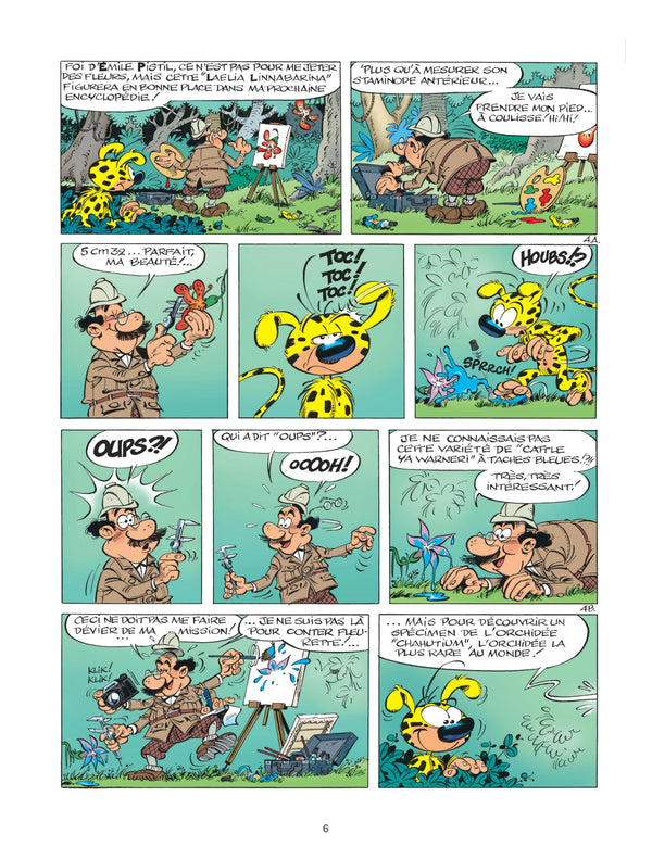 Marsupilami, tome 17 : L'Orchidée des Chahutas
