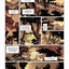 Isabellae - Tome 1 - L'Homme-nuit