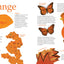 Couleurs animales