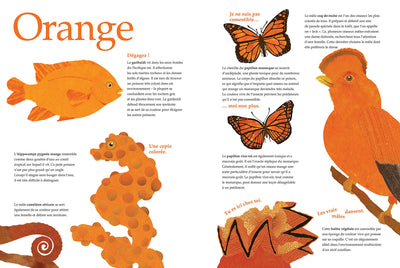 Couleurs animales
