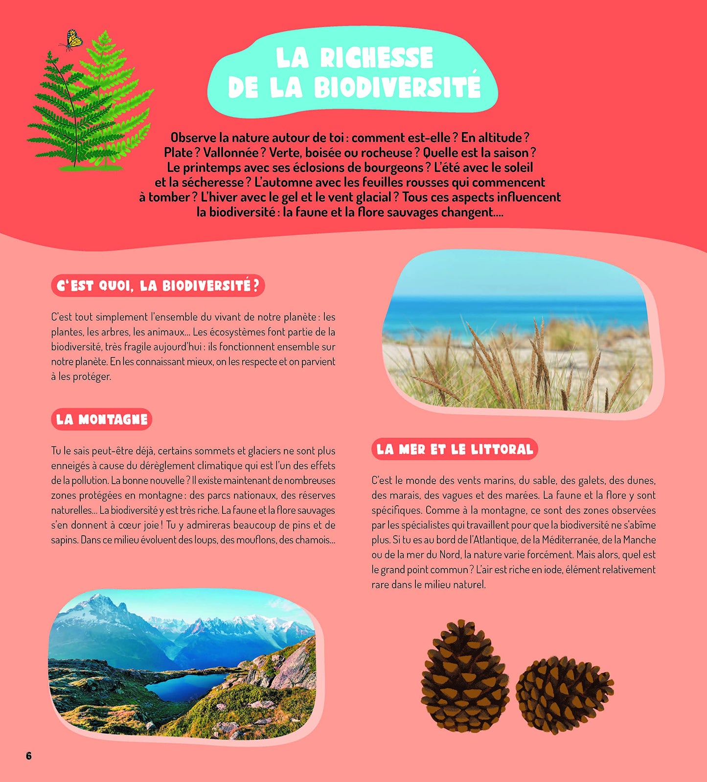 Vive la nature ! Mon premier guide d observation