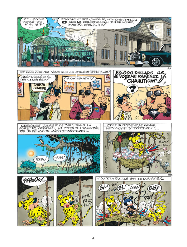 Marsupilami, tome 17 : L'Orchidée des Chahutas