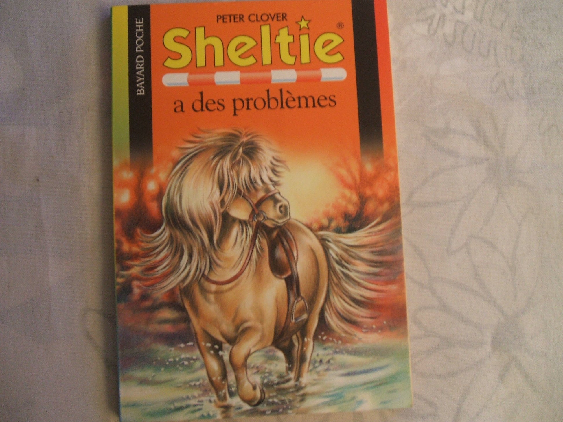 Sheltie a des problèmes
