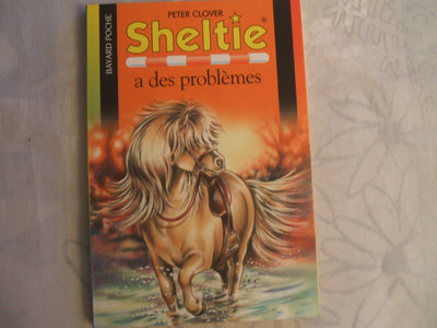 Sheltie a des problèmes