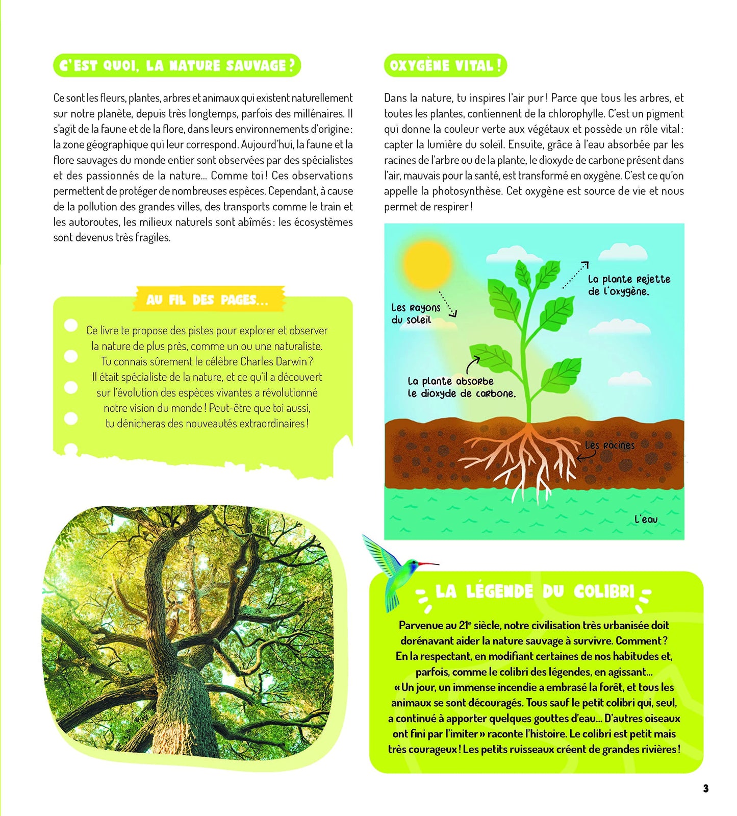 Vive la nature ! Mon premier guide d observation