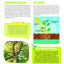 Vive la nature ! Mon premier guide d’observation