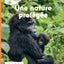 Une nature protégée