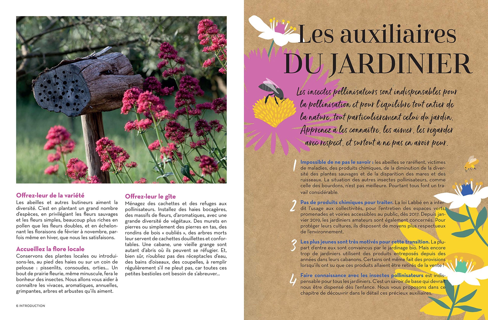 Des plantes mellifères pour mon balcon ou mon jardin