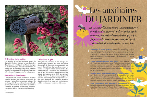 Des plantes mellifères pour mon balcon ou mon jardin