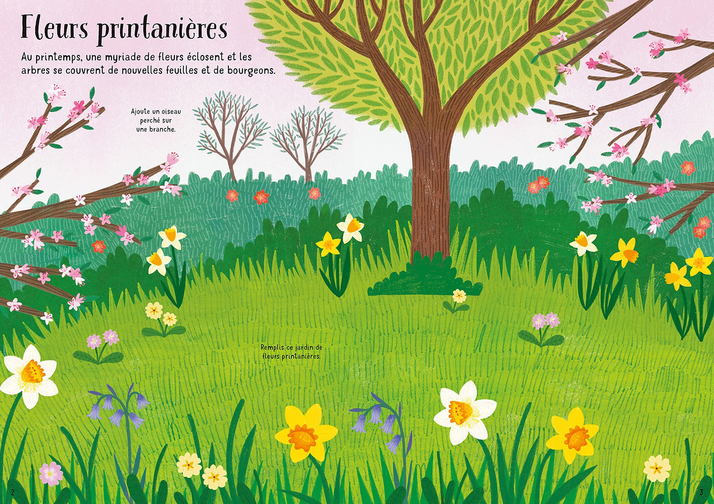 Les fleurs - Mes petits autocollants Usborne