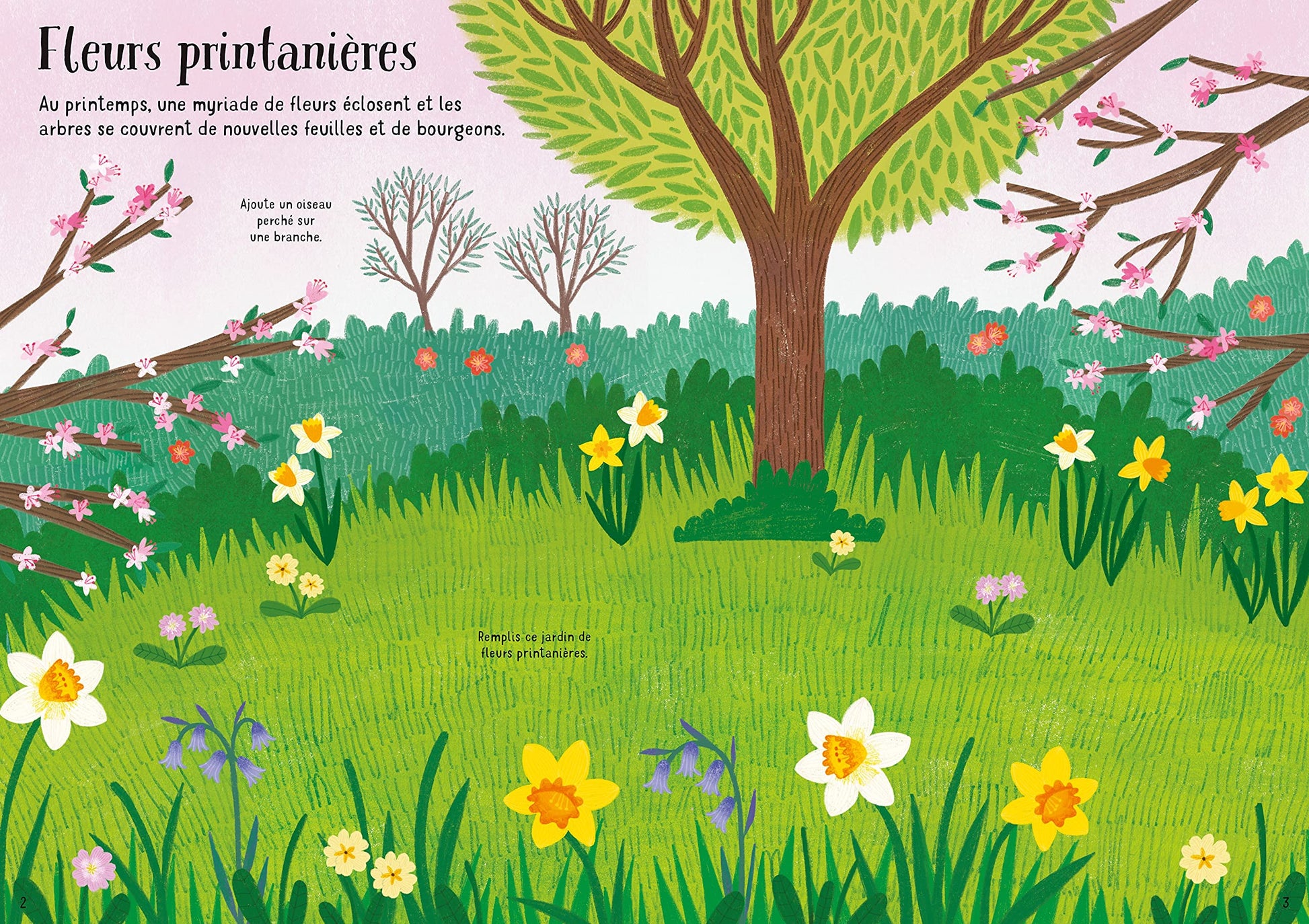 Les fleurs - Mes petits autocollants Usborne