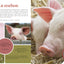 Je découvre les animaux de la ferme en m'amusant
