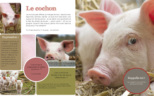 Je découvre les animaux de la ferme en m'amusant