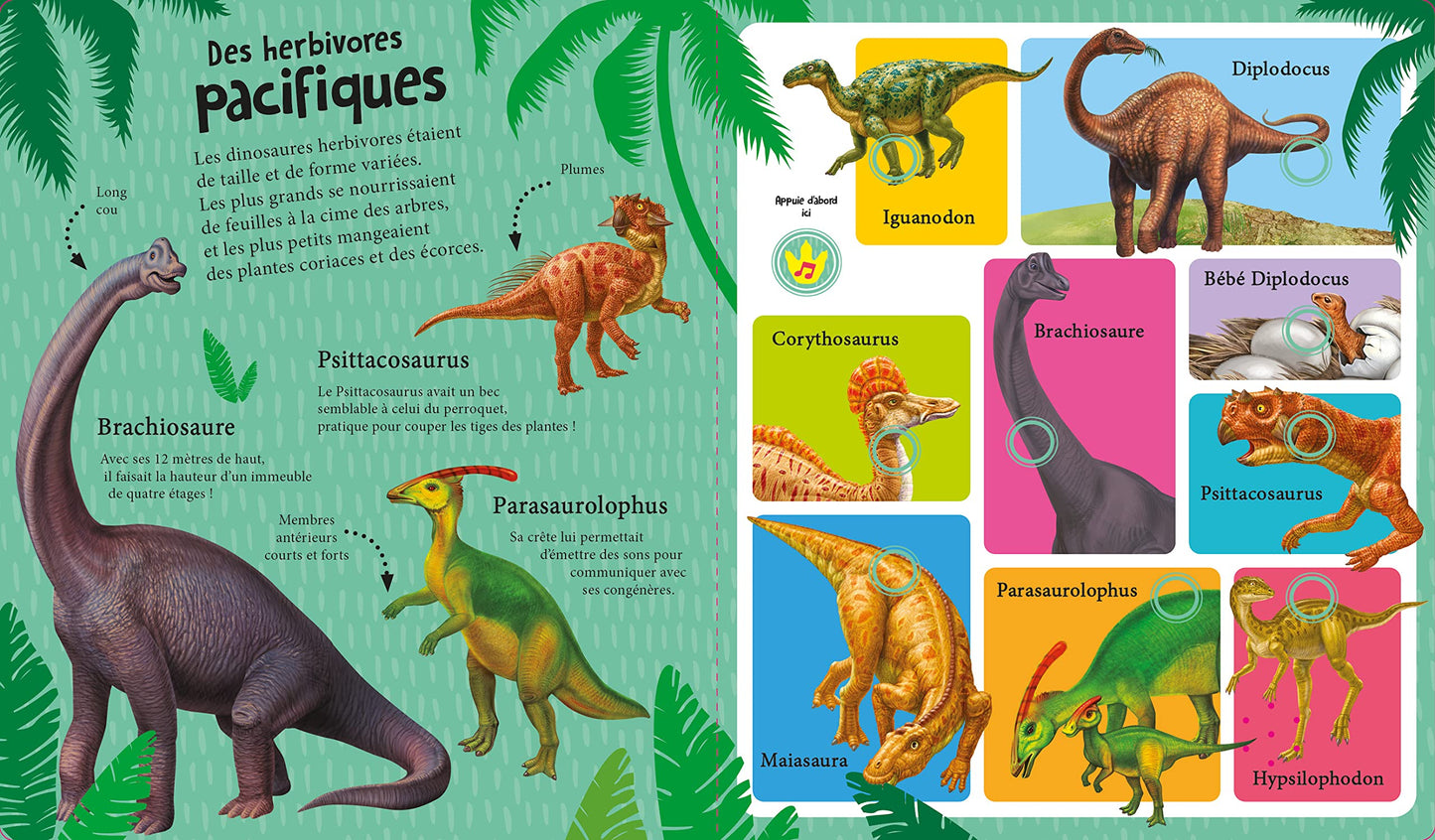 MON LIVRE SONORE - INCROYABLES DINOSAURES - 60 CRIS