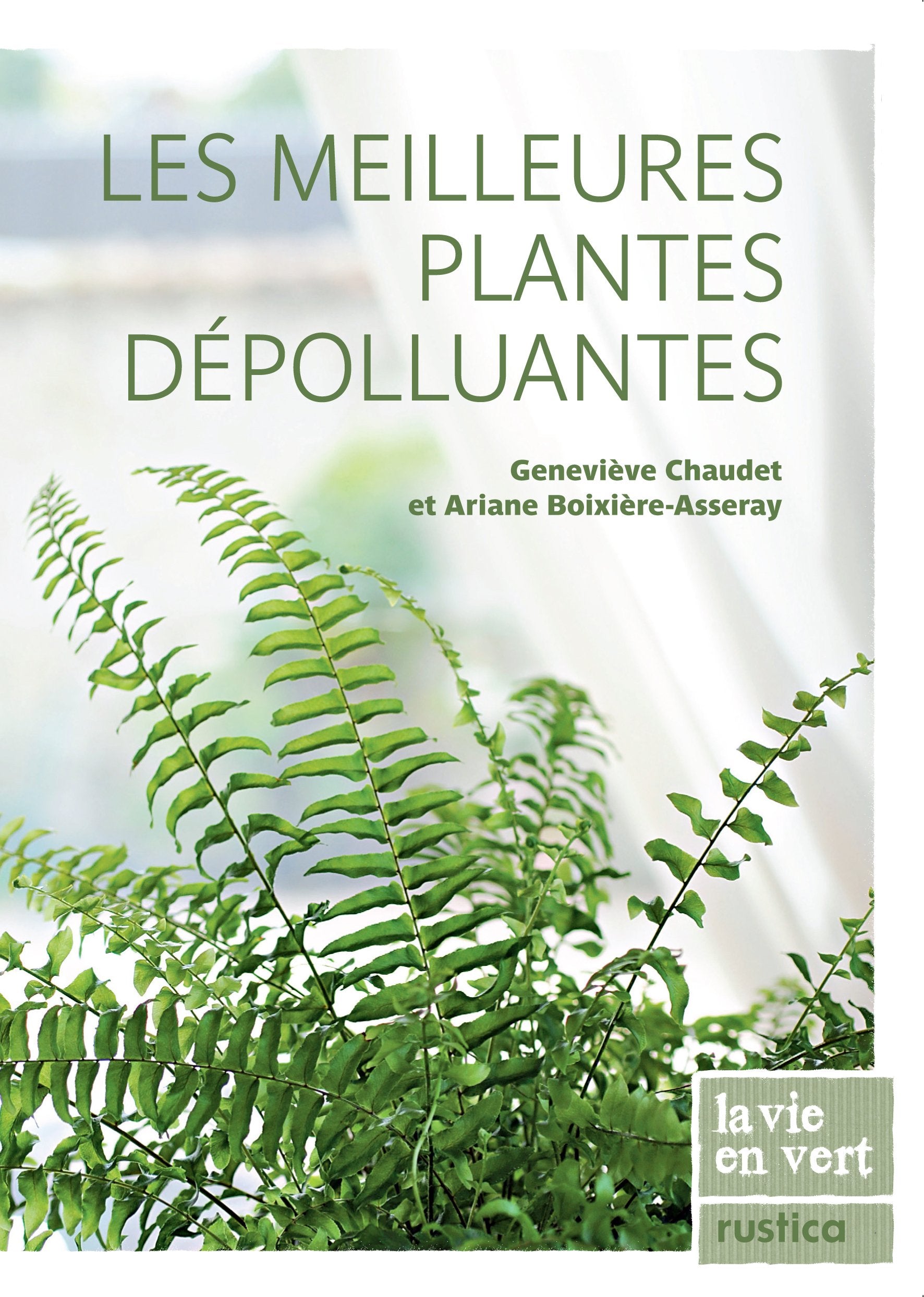 MEILLEURES PLANTES DEPOLLUANTES (LES)
