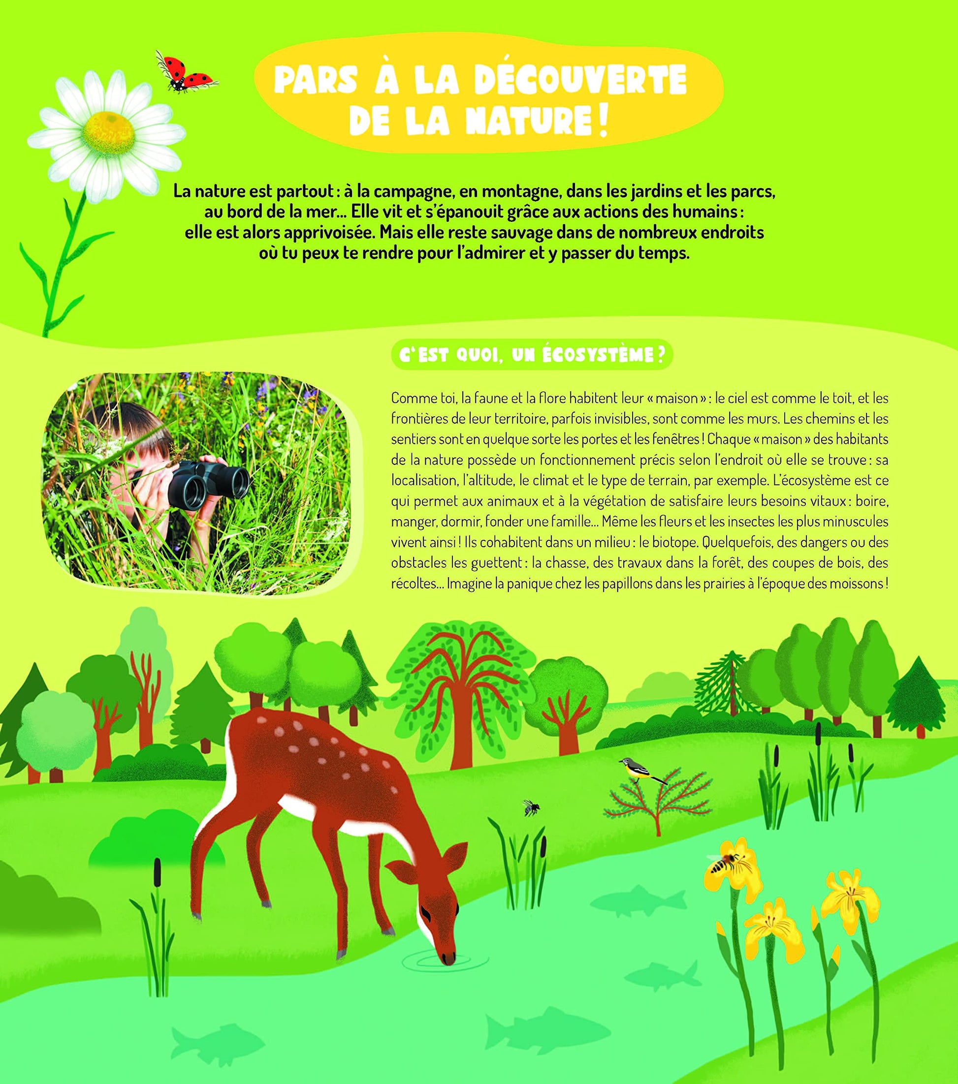 Vive la nature ! Mon premier guide d observation