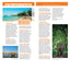 Guide Vert Thaïlande