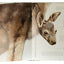 Bébés animaux grandeur nature