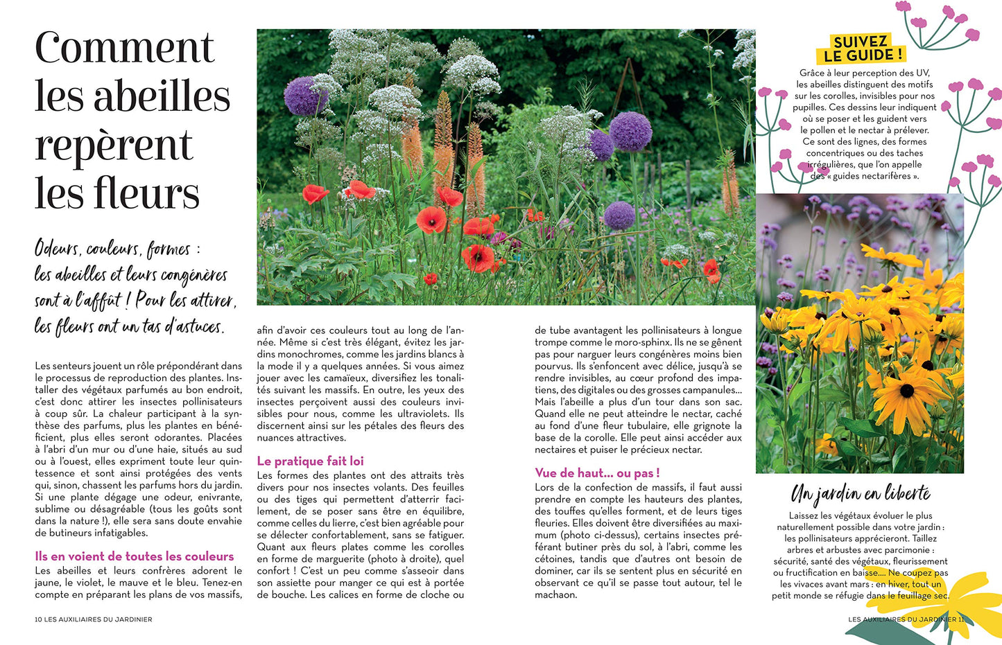 Des plantes mellifères pour mon balcon ou mon jardin
