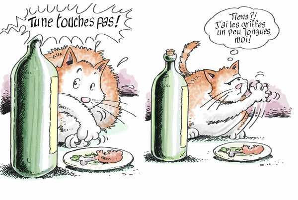 Mon Chat est un hypocrite: Et en plus, il est gros