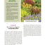 Les increvables au jardin: Que planter pour moins arroser ?