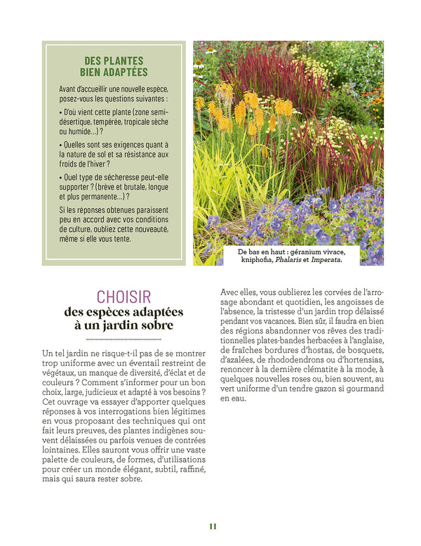 Les increvables au jardin: Que planter pour moins arroser ?