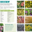Désherber sans glyphosate - Toutes les solutions bio: Toutes les solutions bio