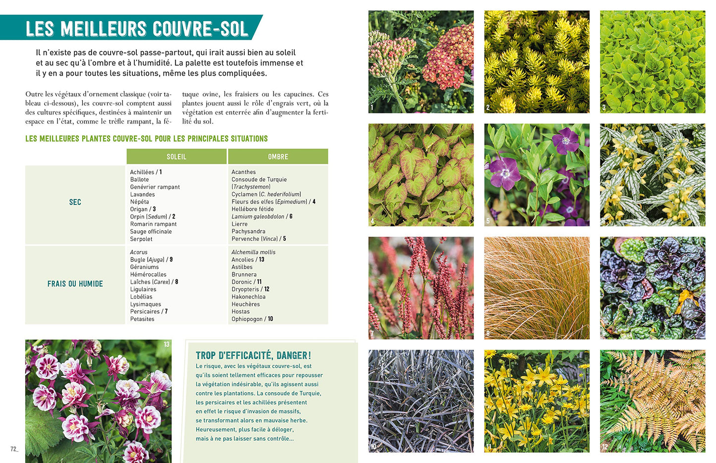 Désherber sans glyphosate - Toutes les solutions bio: Toutes les solutions bio