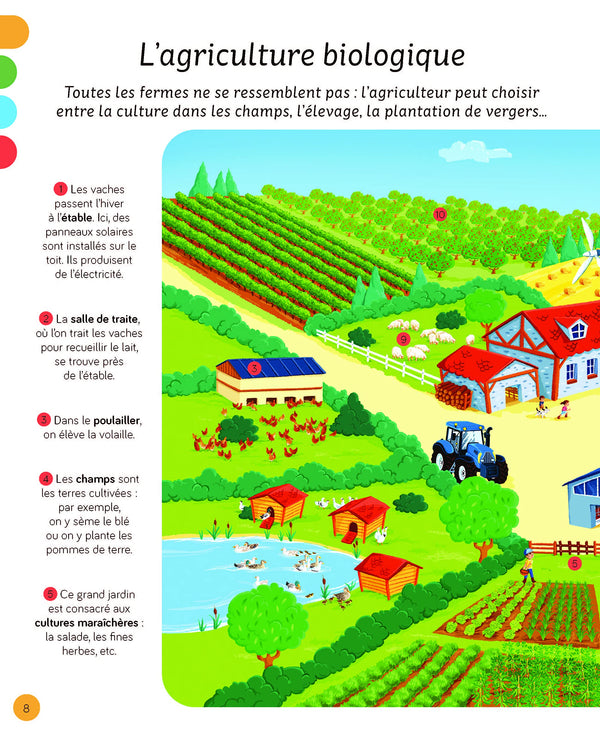 L'imagerie - La ferme