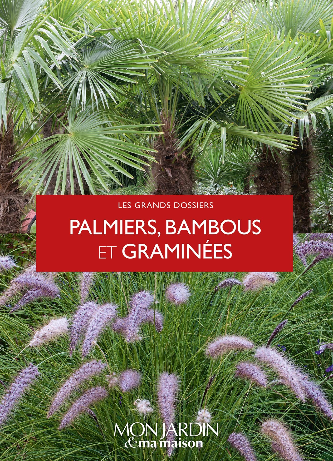 Palmiers, bambous et graminées