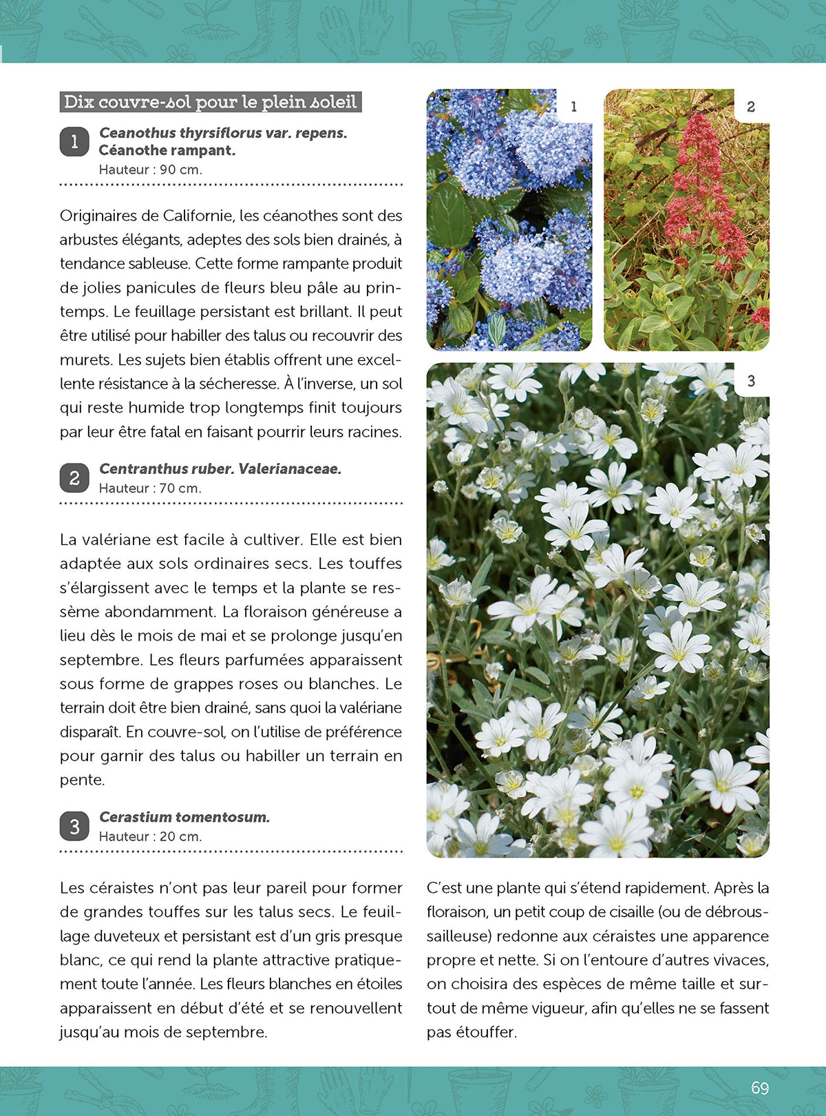 Jardiner sans dépenser