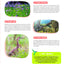 Vive la nature ! Mon premier guide d’observation