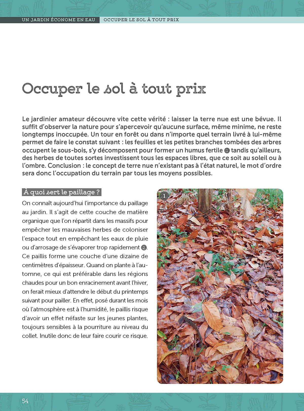 Jardiner sans dépenser