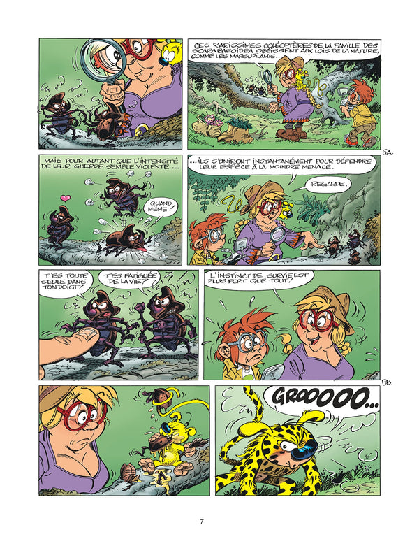 Marsupilami - Tome 29 - Quilzèmhoal