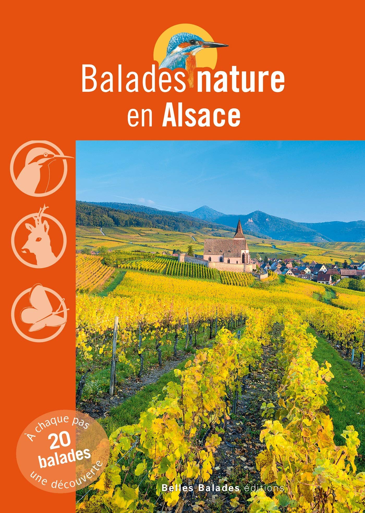 Balades nature en Alsace