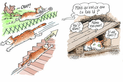 Mon Chat est un hypocrite: Et en plus, il est gros