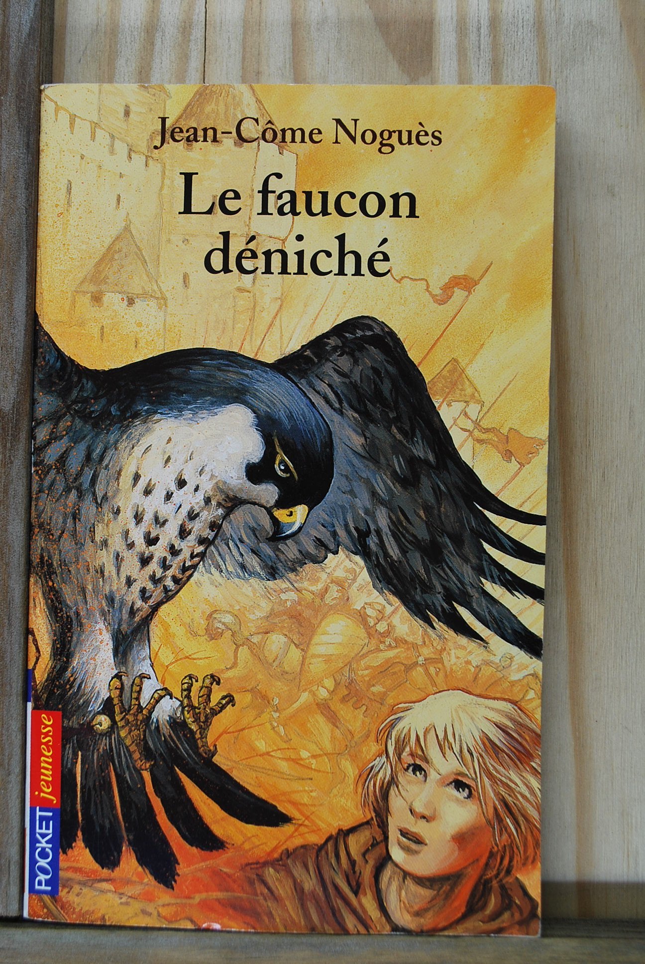 Le Faucon deniché
