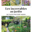 Les increvables au jardin: Que planter pour moins arroser ?